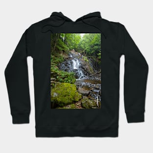 Jeudevine Waterfall Hoodie